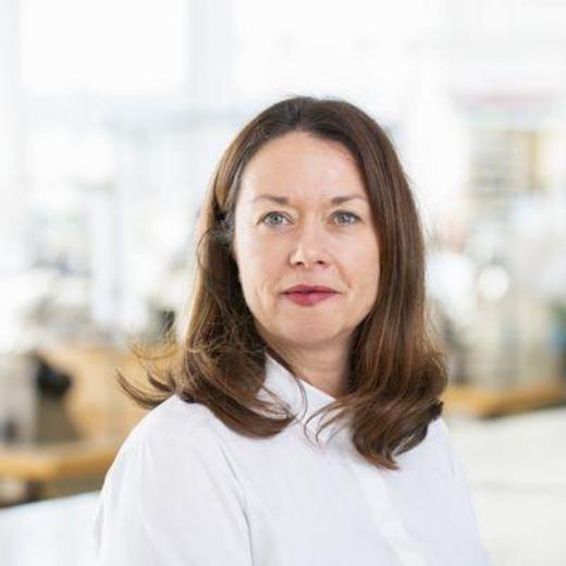 Portrait Mitarbeiter