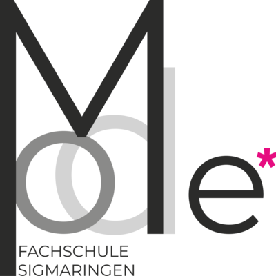 Schriftgrafik Logo Modefachschule